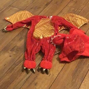 Dragon Halloween costume 0-6 months never worn